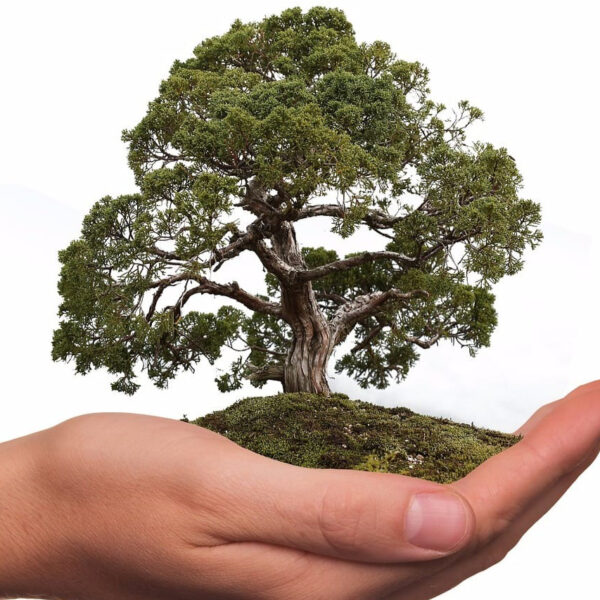 Saneamiento Ambiental