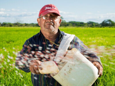 Trabajador Agrícola